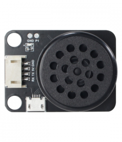 MP3 Sound Modules 